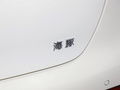 海豚 图片