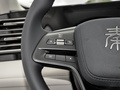 秦L DM-i80KM領先型2024款