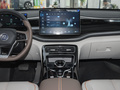 秦PLUS  荣耀版 DM-i120KM超越型2024款