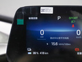 海豚 图片