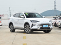 宋PLUS新能源 榮耀版 DM-i 110km旗艦型2024款