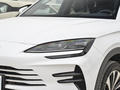 宋PLUS新能源 榮耀版 DM-i 110km旗艦型2024款