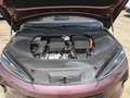 海豹 榮耀版 DM-i 1.5T 121km尊榮型2024款