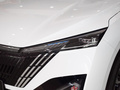 皓瀚 榮耀版 DH-i 1.5T豪華型2024款