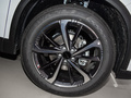 皓瀚 榮耀版 DH-i 1.5T豪華型2024款