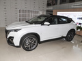 皓瀚 榮耀版 DH-i 1.5T尊貴型2024款