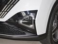 皓瀚 榮耀版 DH-i 1.5T尊貴型2024款