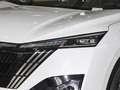 皓瀚 榮耀版 DH-i 1.5T尊貴型2024款