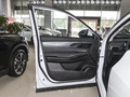 皓瀚 榮耀版 DH-i 1.5T尊貴型2024款