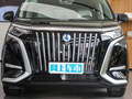 騰勢D9 EV 600四驅尊貴型2024款