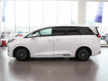 騰勢(shì)D9 EV 600四驅(qū)旗艦型2024款