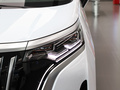 騰勢(shì)D9 EV 600四驅(qū)旗艦型2024款