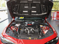 Giulia朱麗葉 2.9T V6 520HP 四葉草版2024款