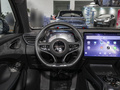 海豹 荣耀版 550km精英型2024款