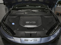 海豹 荣耀版 550km精英型2024款