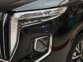 红旗HQ9 PHEV 2.0T四驱豪华版2024款