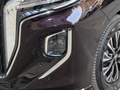 红旗HQ9 PHEV 2.0T四驱旗舰版2024款