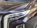 红旗HQ9 PHEV 2.0T四驱旗舰版2024款