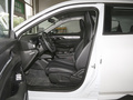 SKY EV01 440km 真香版2023款
