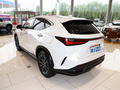 雷克薩斯NX 260 前驅(qū)創(chuàng)馳版2024款