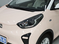 小螞蟻 青春版 321km 鐘愛版29.23kWh2024款