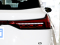 藍電E5 榮耀版 1.5L DE-i 100KM尊享型7座2024款