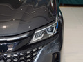 藍(lán)電E5 榮耀版 1.5L DE-i 100KM臻享型5座2024款
