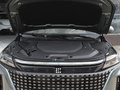 藍(lán)電E5 榮耀版 1.5L DE-i 100KM臻享型7座2024款