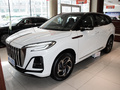紅旗HS3新能源 PHEV 115km勁為版2024款