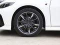 影豹 270T DCT影豹S版2024款