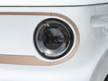 吉利熊猫 熊猫mini 200km龙腾PRO版2024款
