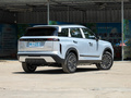 探索06 C-DM C-DM舒適型2024款