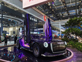 金葵花 基本型2024款