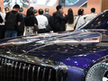 金葵花 基本型2024款