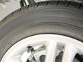 賽拉圖 圖片