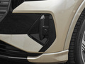 奥迪Q4 e-tron 40 e-tron冠军纪念版2024款