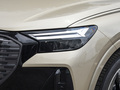 奥迪Q4 e-tron 40 e-tron冠军纪念版2024款