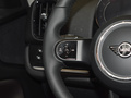MINI COUNTRYMAN 图片