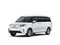五菱征程新能源 舒適型封窗車(chē)2023款