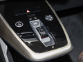 奧迪Q5 e-tron 50 e-tron quattro 光耀型錦衣套裝2024款