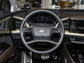 奧迪Q5 e-tron 50 e-tron quattro 光耀型錦衣套裝2024款