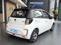 花仙子 摯愛版 301km Lite2024款