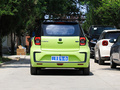 花仙子 摯愛版 301km Air2024款