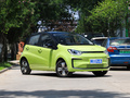 花仙子 摯愛版 301km Air2024款