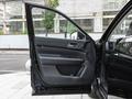 探陸 380VC-TURBO 兩驅智悅版6座2024款