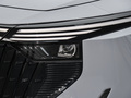 啟辰大V DD-i 110kmPro版2024款