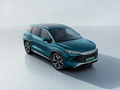 宋L DM-i 160km卓越型2024款