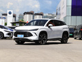宋L DM-i 160km卓越型2024款