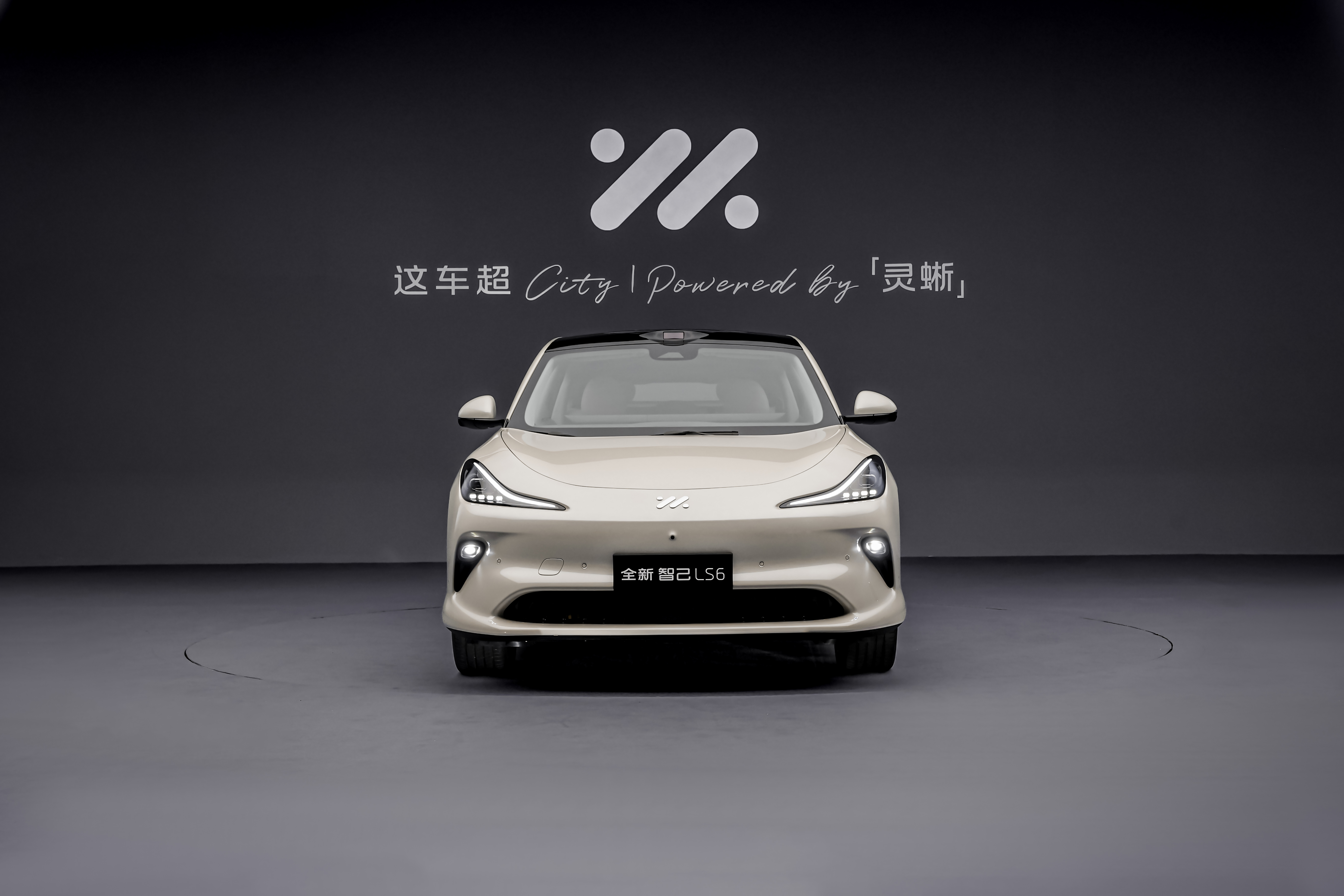 智己LS6 靈蜥智駕版2025款