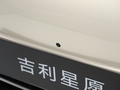 星愿 图片